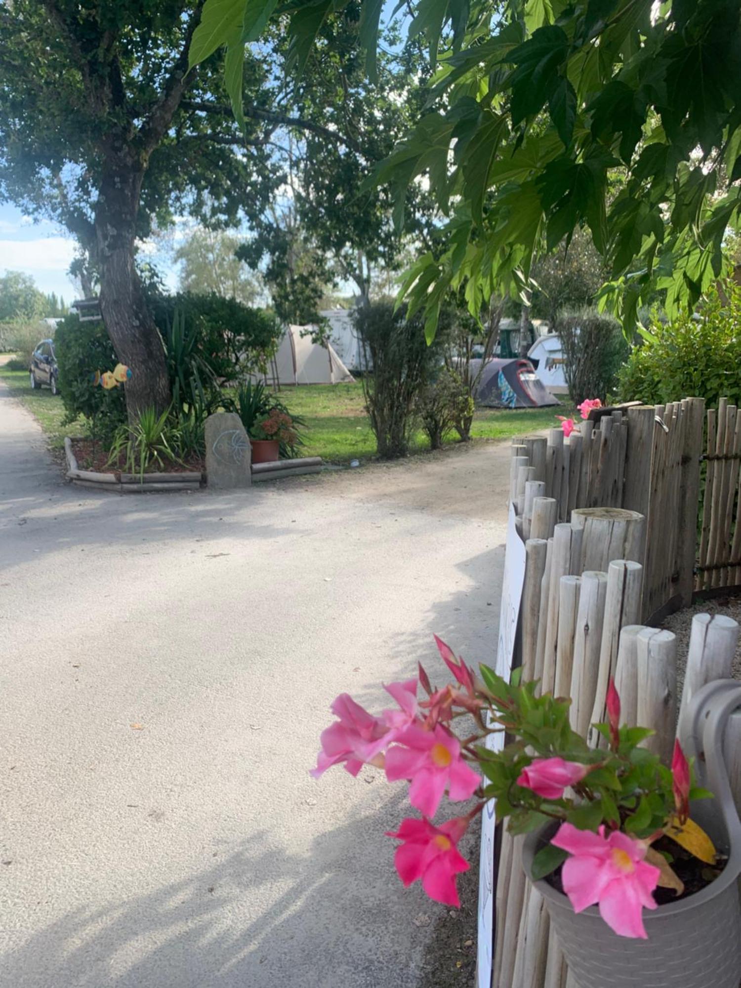 Camping Paradis Le Moulin Des Oies Belz المظهر الخارجي الصورة